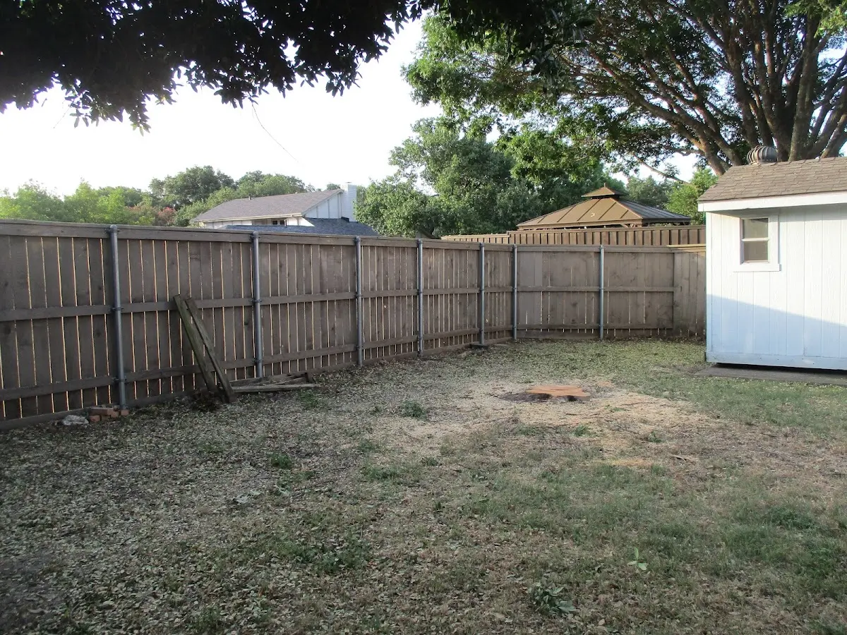 Cleared yard after professional tree removal in Closter